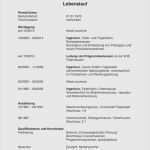 Interne Bewerbung Vorlage Word Bewundernswert Karrierebibel Lebenslauf Vorlage Erstaunlich Muster