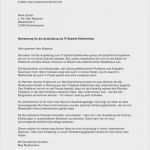 Interne Bewerbung Vorlage Word Erstaunlich Vorlage Lebenslauf Part 307