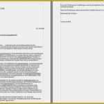 Interne Stellenausschreibung Vorlage Best Of 7 Interne Stellenausschreibung Anschreiben