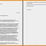 Interne Stellenausschreibung Vorlage Elegant 10 Internes Bewerbungsanschreiben Vorlage