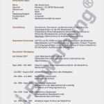 Interne Stellenausschreibung Vorlage Hübsch Interne Bewerbung Vorlage Schön Interne