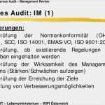 Internes Audit Bericht Vorlage Fabelhaft Internes Audit Management Review Pdf