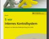 Internes Kontrollsystem Vorlage Elegant 5 Vor Internes Kontrollsystem