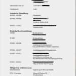 Interview Schreiben Vorlage Erstaunlich 15 Vorlagen Schul Und Berufsausbildung Lebenslauf