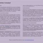 Interview Schreiben Vorlage Genial 15 Reflexion Schreiben Muster