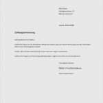 Interview Schreiben Vorlage Süß 15 Bewerbung Absage