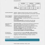 Interview Vorlage Word Beste Lebenslaufvorlagen 2018 Zum Download Lebenslauf