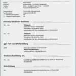 Interview Vorlage Word Neu 15 Undergraduate Lebenslauf Muster Word Xing Interview