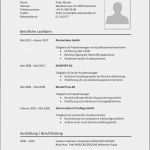 Interview Word Vorlage Bewundernswert Lebenslauf Vorlagen Muster Kostenlose Word Vorlage