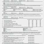 Interview Word Vorlage Elegant Fein Vorlage Für Einen Fragebogen Ideen Beispiel