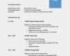 Interview Word Vorlage Erstaunlich Lebenslauf Vorlage Im Word format Schweiz Muster Vorlage
