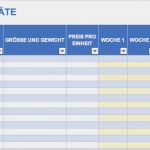 Inventarliste Excel Vorlage Genial Kostenlose Excel Inventar Vorlagen