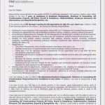 Inventarliste Vorlage Muster Genial Inventarliste Vorlage Muster Bewerbung Mappe Schön