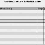 Inventur Vorlage Excel Großartig Inventurliste Pdf Vorlage Ideen Rund Ums Haus