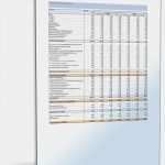 Investitionsplanung Excel Vorlage Elegant Unternehmensplanung