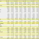 Investitionsrechnung Excel Vorlage Erstaunlich Rentas 5 X Excel Vorlagen Shop