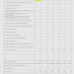 Investitionsrechnung Excel Vorlage Kostenlos Gut Investitionsrechnung Elisabeth Mehrmann