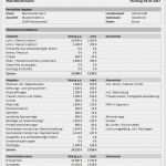 Investitionsrechnung Immobilien Excel Vorlage Best Of Dcf Excel Vorlage Immobilien – De Excel