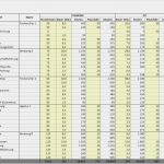 Investitionsrechnung Immobilien Excel Vorlage Cool tool Für Projekt Controlling In Excel