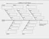 Ishikawa Diagramm Vorlage Excel Schönste ishikawa Diagramm ishikawa Diagramm Vorlage Powerpoint
