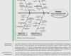 Ishikawa Diagramm Vorlage Excel Wunderbar Ursache Wirkungs Diagramm ishikawa ishikawa Diagramm