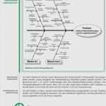 Ishikawa Diagramm Vorlage Excel Wunderbar Ursache Wirkungs Diagramm ishikawa ishikawa Diagramm