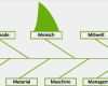 Ishikawa Vorlage Powerpoint Luxus ishikawa Diagramm Vorlage Wunderbar Pin ishikawa Diagramm