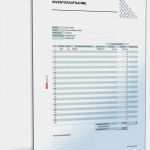 It Bestandsaufnahme Vorlage Hübsch Inventuraufnahme