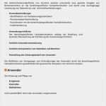 It Betriebskonzept Vorlage Wunderbar Betriebskonzept