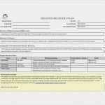 It Disaster Recovery Plan Vorlage Genial 52 Effective Disaster Recovery Plan Templates [drp