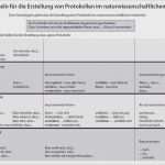 It Dokumentation Vorlage Word Fabelhaft 17 Ein Protokoll Schreiben Beispiel