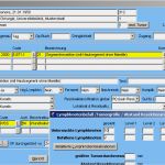 It Dokumentation Vorlage Wunderbar Kurzanleitung Dokumentation Des Mammakarzinoms