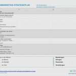 It Konzept Vorlage Erstaunlich 8 Marketingkonzept Muster