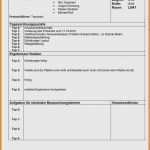 It Lastenheft Vorlage Fabelhaft Lastenheft Vorlage Word Cool Protokoll Muster