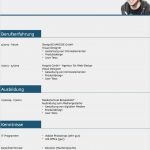 It Lebenslauf Vorlage Best Of Lebenslauf Muster 3 Blau Kostenlos En