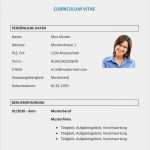It Lebenslauf Vorlage Best Of Lebenslauf Vorlage It Projektleiter