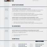 It Lebenslauf Vorlage Inspiration Premium Bewerbungsmuster 2