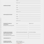 It Notfallhandbuch Vorlage Erstaunlich Charmant Es Notfallplan Vorlage Zeitgenössisch Beispiel