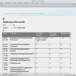 It Notfallmanagement Vorlage Bewundernswert Arbeitshilfen