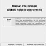 It Richtlinien Vorlage Hübsch atemberaubend Risikomanagement Matrix Vorlage Galerie