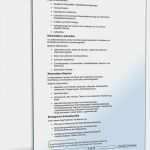 It Richtlinien Vorlage Schönste Richtlinien über Einkaufsgrundsätze Vorlage Zum Download
