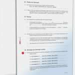 It Service Vertrag Vorlage Angenehm Carsharing Vertrag