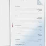 It Service Vertrag Vorlage Best Of Tagesmuttervertrag