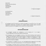 It Service Vertrag Vorlage Fabelhaft Webdesignvertrag Freelancer Erstellen