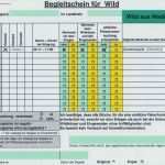 It Sicherheitsbelehrung Vorlage Bewundernswert Downloads [13]