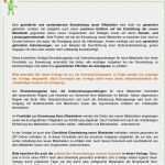 It Sicherheitsbelehrung Vorlage Inspiration Vorschau Pdf Einarbeitungsplan Und