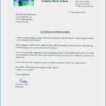 Jahresabschluss Verein Vorlage Erstaunlich Ausfllhilfe Fr Spendenbescheinigungen