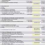 Jahresabschluss Vorlage Erstaunlich Bilanz Und sonstige Werte Für Beispielberechnungen