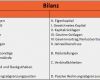 Jahresabschluss Vorlage Luxus Aufbau Der Bilanz Buchführung Wiwiweb