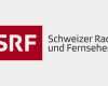 Jahresbericht Vorlage Verein Einzigartig Stellungnahme Von Srf Zur Fög Stu